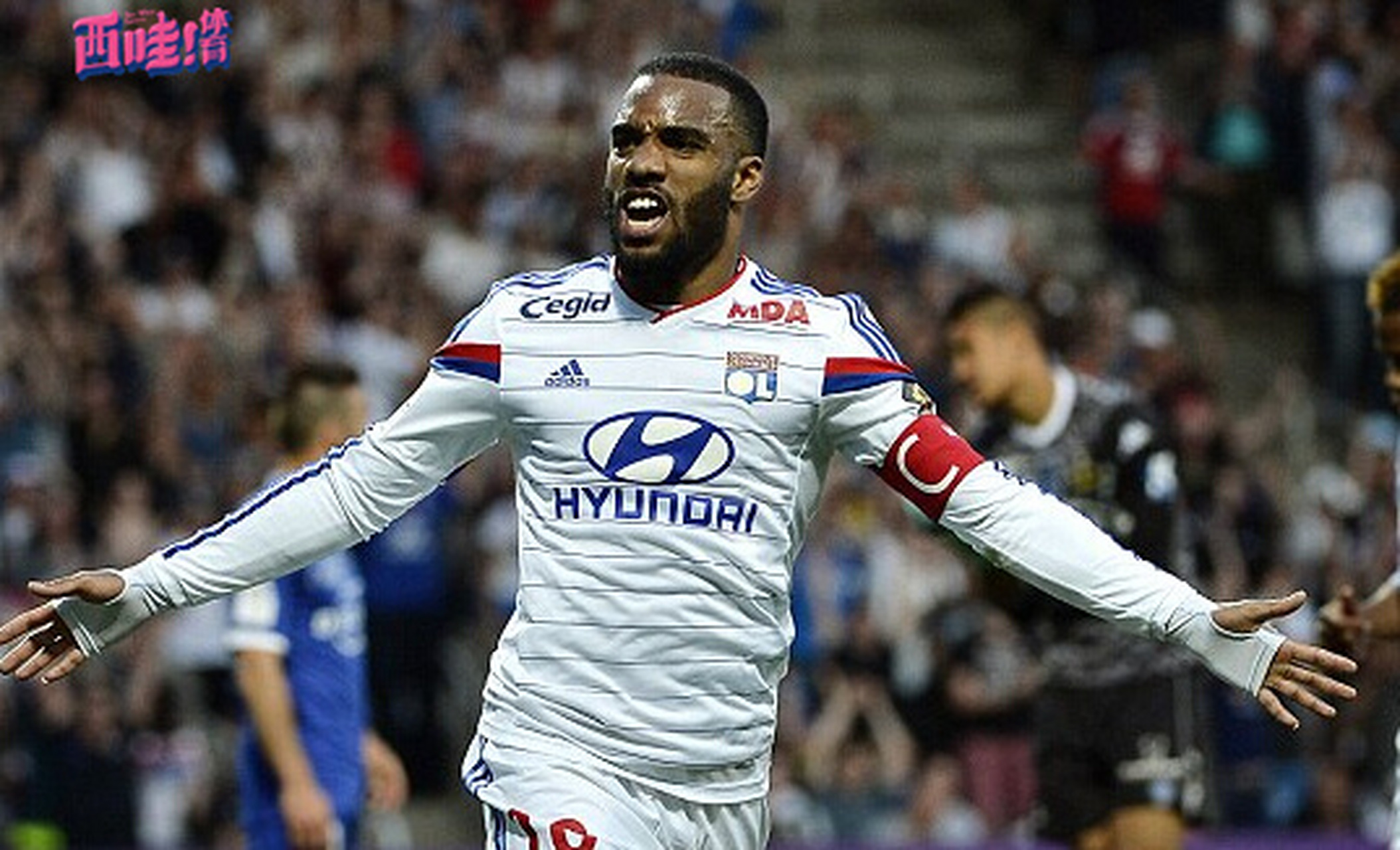 转会期里昂备战欧篮联，外线爆发细节曝光，目标明确，控场能力受关注的简单介绍